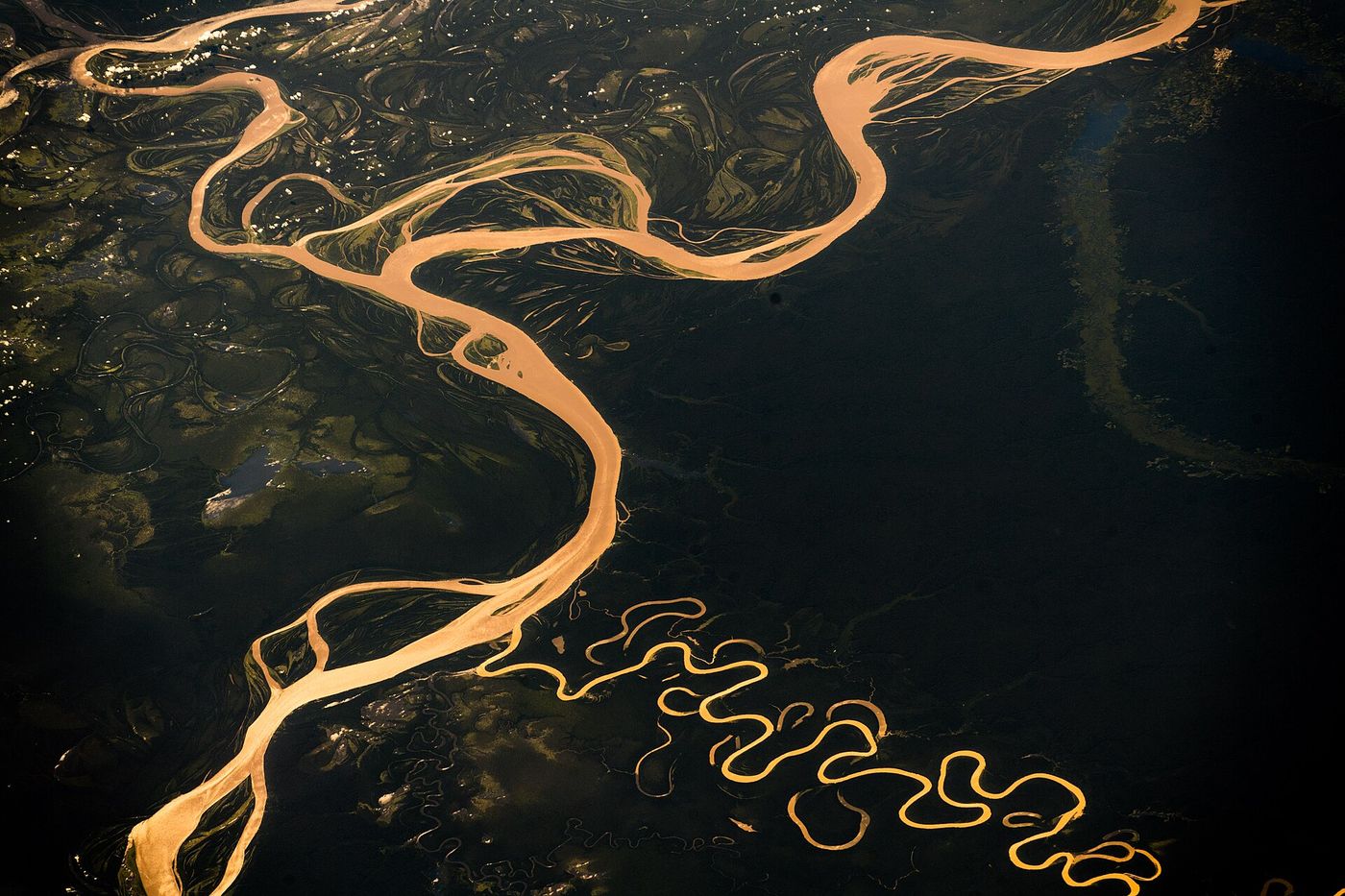 The Amazon rainforest seen from the air in the state of Pará, where deforestation fell sharply but fire detections rose this year.