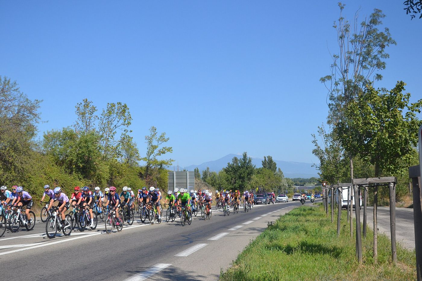 A peloton climbs during a mountain stage.